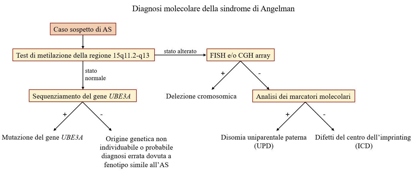 FAST Italia - Fondazione Sindrome di Angelman - FIG 3 Test Diagnostici